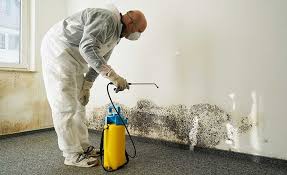 Mold Removal for HVAC Installations in Prosperity, SC