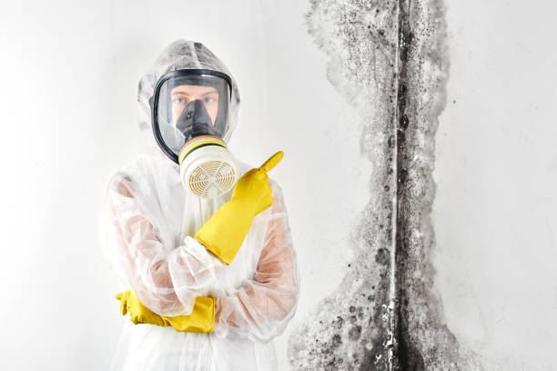 Best Comprehensive Air Testing for Mold Contaminants  in Prosperity, SC