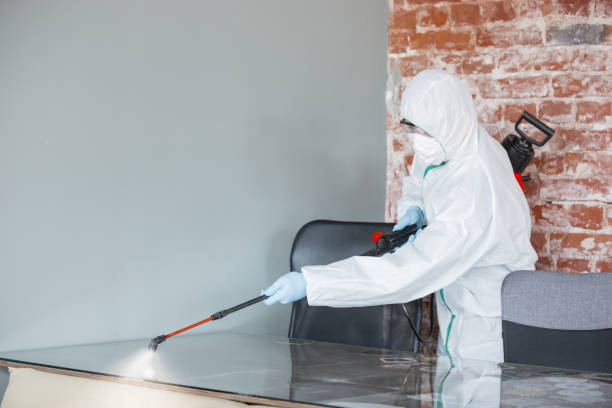 Mold Remediation for Rental Properties in Prosperity, SC