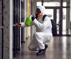 Best Mold Remediation for Rental Properties  in Prosperity, SC